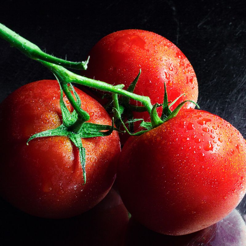 Three red tomatoes on a vine